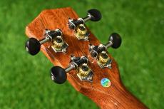 DCT DUC-600M Concert_6