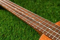 DCT DUC-600M Concert_7
