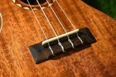 DCT DUC-600M Concert_12