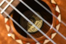 DCT DUC-600M Concert_16