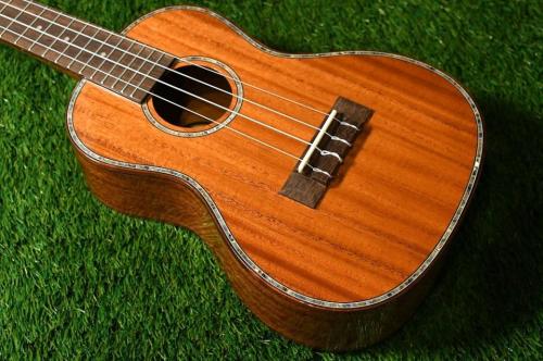 DCT DUC-300M Concert