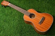 DCT DUC-300M Concert_2