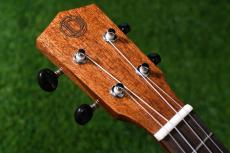 DCT DUC-300M Concert_5