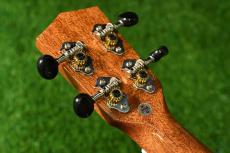 DCT DUC-300M Concert_6
