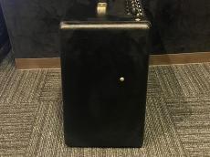 Fender Blues Junior_4