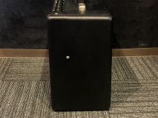 Fender Blues Junior_5