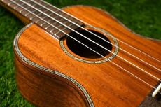 DCT DUC-300M Concert_11