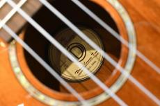 DCT DUC-300M Concert_16