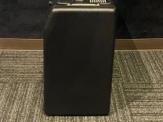 Fender '68 Custom Vibro Champ Reverb_5