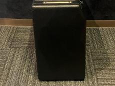 Fender '64 Custom Princeton Reverb_5