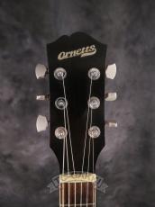 Ornetts GM-5R_3