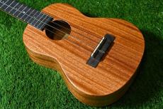 Millar TPA-E Tenor【OUTLET/S/N 070】_2