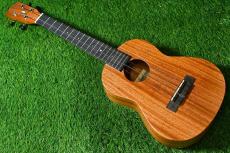 Millar TPA-E Tenor【OUTLET/S/N 070】_3