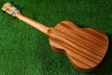 Millar TPA-E Tenor【OUTLET/S/N 070】_4
