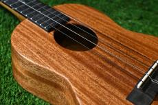 Millar TPA-E Tenor【OUTLET/S/N 070】_13