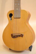 TACOMA Papoose P-1　2000年製_2