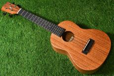 Millar CPA-E Concert【S/N 068】_2