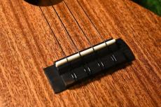Millar CPA-E Concert【S/N 068】_12