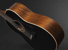 Taylor AD17 Blacktop w/Element VTC ~American Dream Series~ 【Serial#1209011027】_10