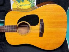Martin D-18_2
