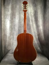 Epiphone FT-79 Inspired by Texan_5