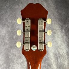 Epiphone FT-79 Inspired by Texan_6