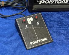 POLYTONE Brute 2_5