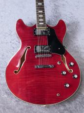 Sire 【#クロサワ大感謝祭】 H7 LarryCarlton   -SeeThroughRed-【2024'sUSED】