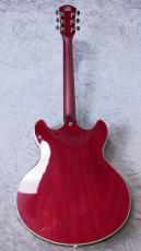 Sire 【#クロサワ大感謝祭】 H7 LarryCarlton   -SeeThroughRed-【2024'sUSED】_7