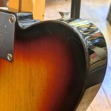Fender MEX 69Telecaster Thinline_6