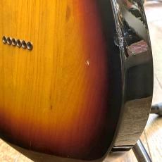 Fender MEX 69Telecaster Thinline_7