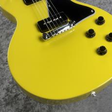 FUJIGEN NLSP100RMH-LYW~Lime Yellow~#E260135 [4.16kg]_5