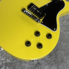 FUJIGEN NLSP100RMH-LYW~Lime Yellow~#E260135 [4.16kg]_6