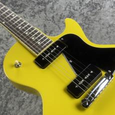 FUJIGEN NLSP100RMH-LYW~Lime Yellow~#E260135 [4.16kg]_7