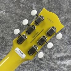 FUJIGEN NLSP100RMH-LYW~Lime Yellow~#E260135 [4.16kg]_11