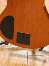 Veillette Veillette Guitars Journeyman Nylon Natural 【USED】_5
