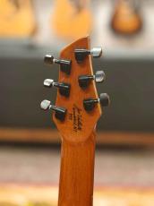 Veillette Veillette Guitars Journeyman Nylon Natural 【USED】_8