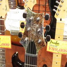 Paul Reed Smith [PRS] SE STANDARD 24 MULTI FOIL_3