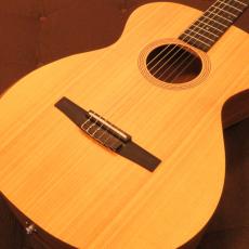 Taylor Academy12e-Nylon