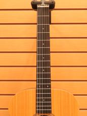 Taylor Academy12e-Nylon_6