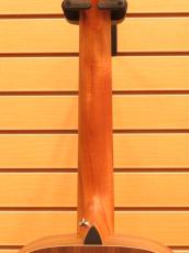 Taylor Academy12e-Nylon_7