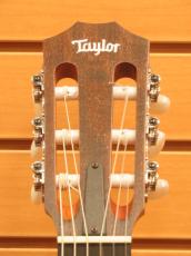Taylor Academy12e-Nylon_8