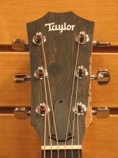Taylor 212ce_8