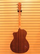 Taylor 214ce Plus_4