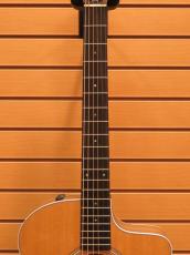 Taylor 214ce 【定番エレアコ】_6