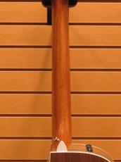 Taylor 214ce 【定番エレアコ】_7