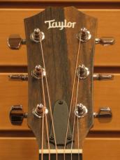 Taylor 214ce 【定番エレアコ】_8