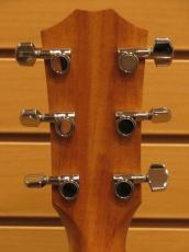 Taylor 214ce 【定番エレアコ】_9