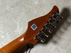 MOOER S801_10