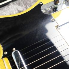 Fender American Professional II Telecaster Butterscotch Blonde【2021年製】【ウィークリーセール】_5